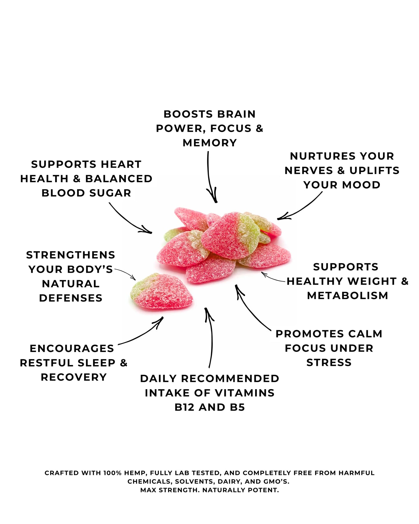 Lions Mane  (30 Gummies)