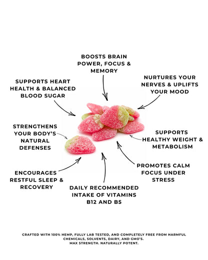 Lions Mane  (30 Gummies)